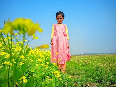 সরিষা ক্ষেত 🥰